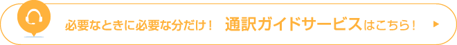 必要なときに必要な分だけ！ 通訳ガイドサービスはこちら！