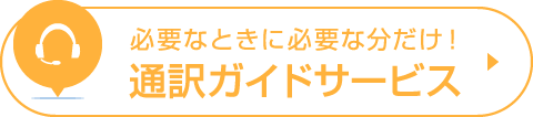必要なときに必要な分だけ！ 通訳ガイドサービス