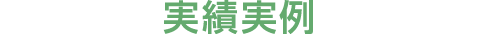 実績紹介